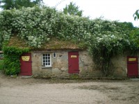 /album/fotos-tuinen/tuin-foto-s-21-juni-2015-053-jpg/